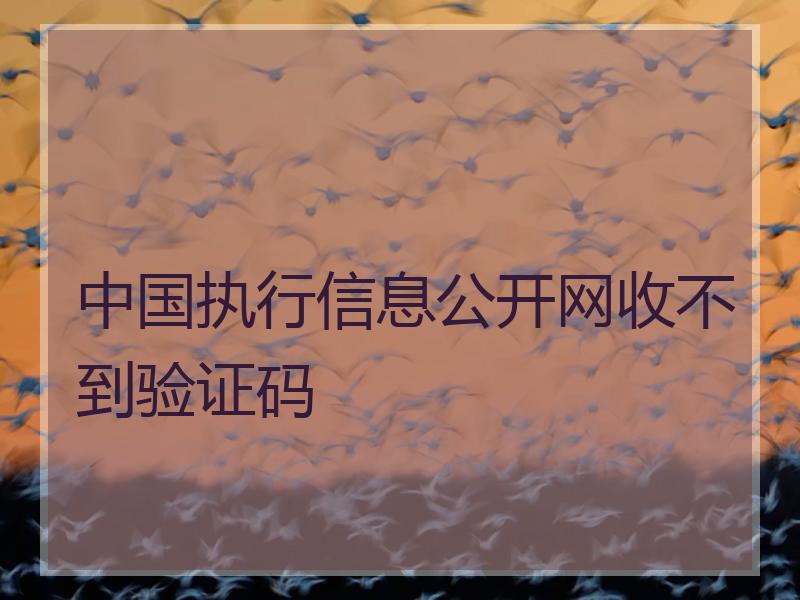 中国执行信息公开网收不到验证码