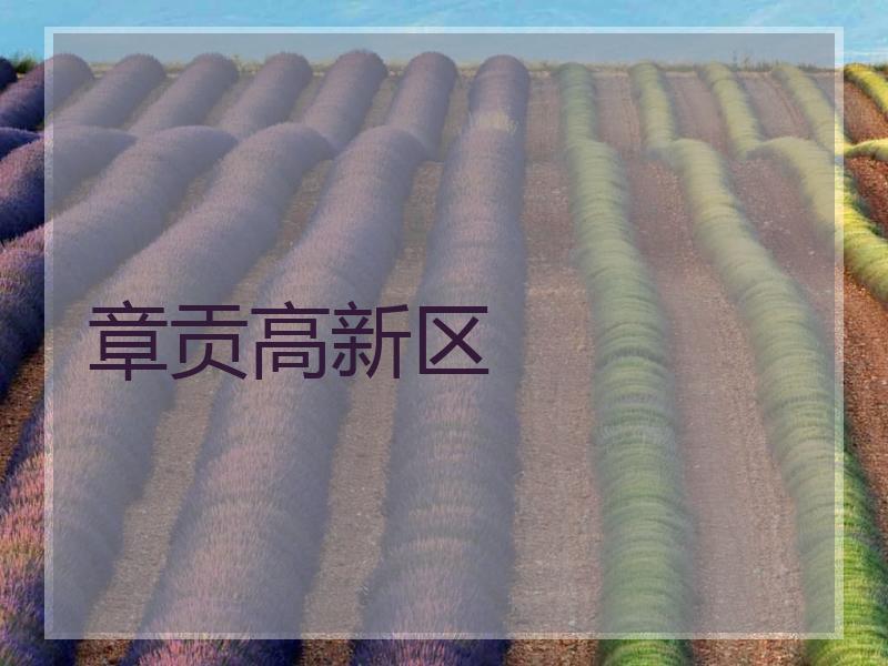 章贡高新区