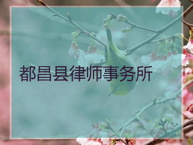 都昌县律师事务所