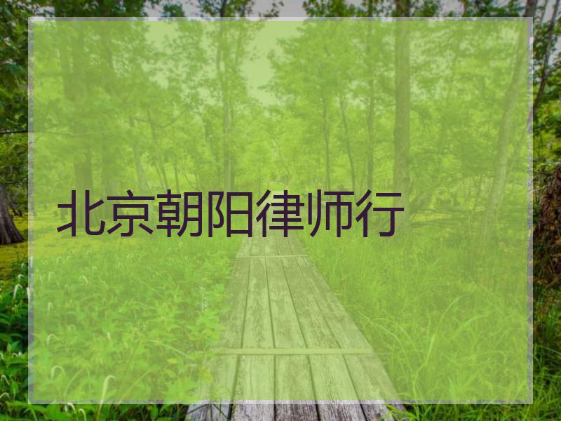 北京朝阳律师行
