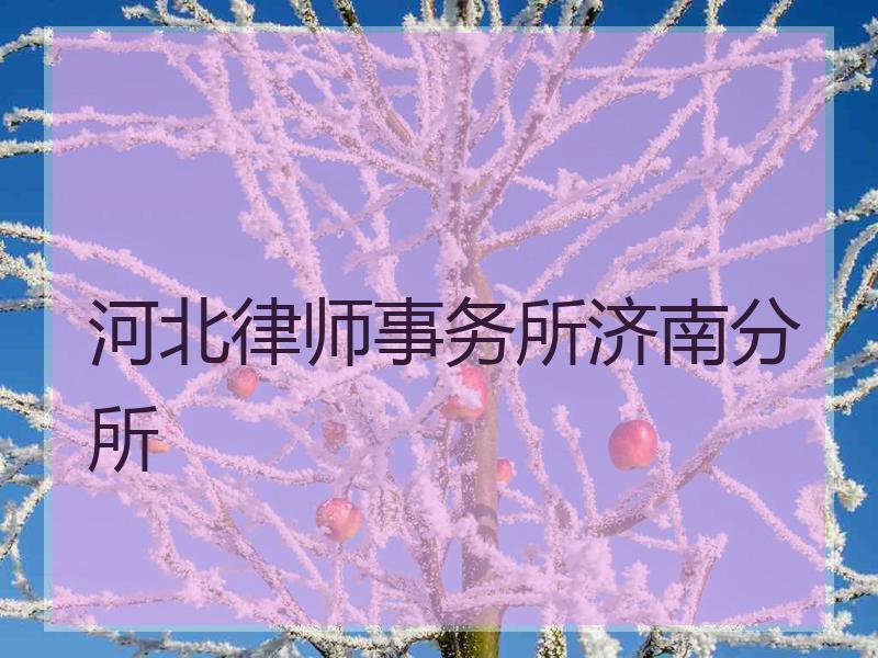 河北律师事务所济南分所