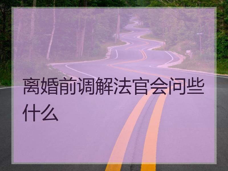 离婚前调解法官会问些什么