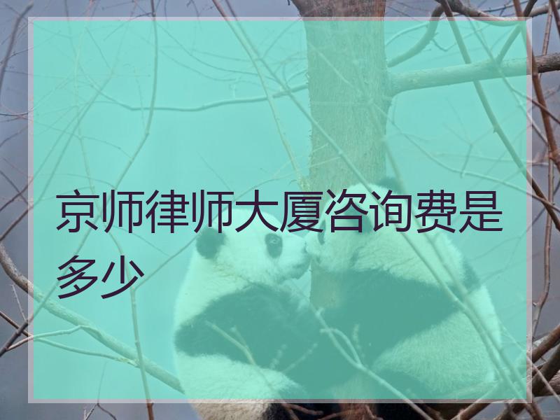 律师大厦咨询费是多少