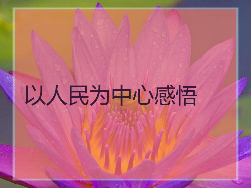 以人民为中心感悟