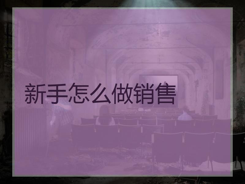 新手怎么做销售