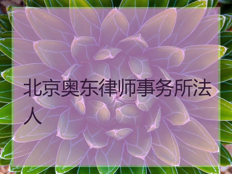 北京奥东律师事务所法人