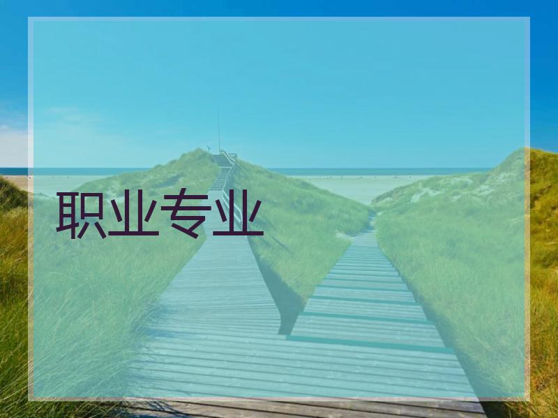 职业专业