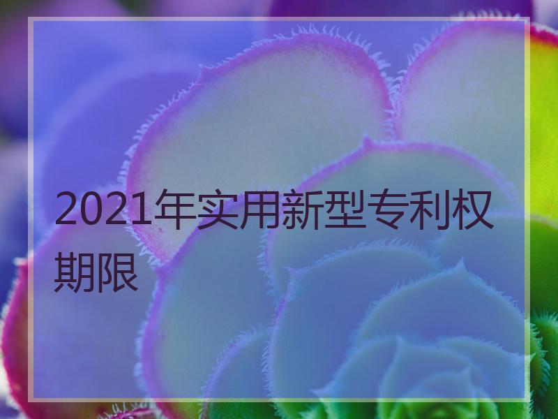 2021年实用新型专利权期限