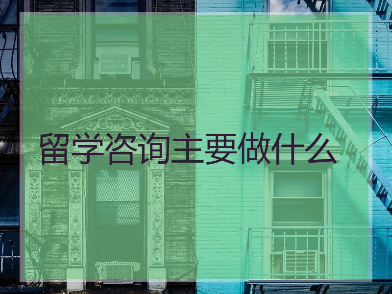 留学咨询主要做什么