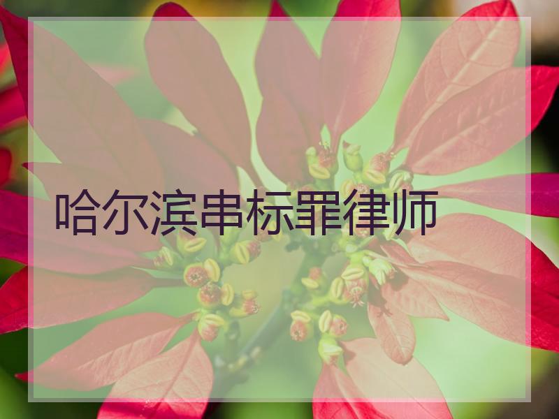 哈尔滨串标罪律师