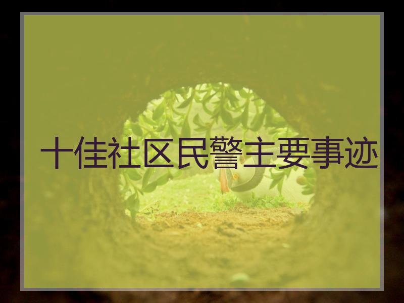 十佳社区民警主要事迹