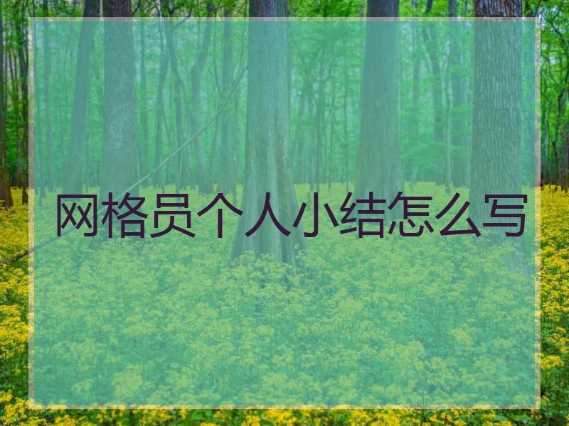 网格员个人小结怎么写