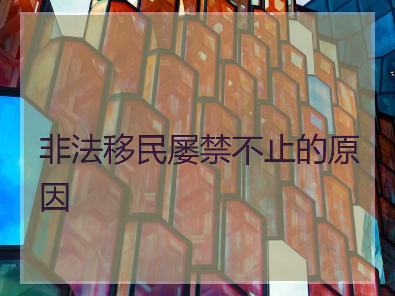 非法移民屡禁不止的原因