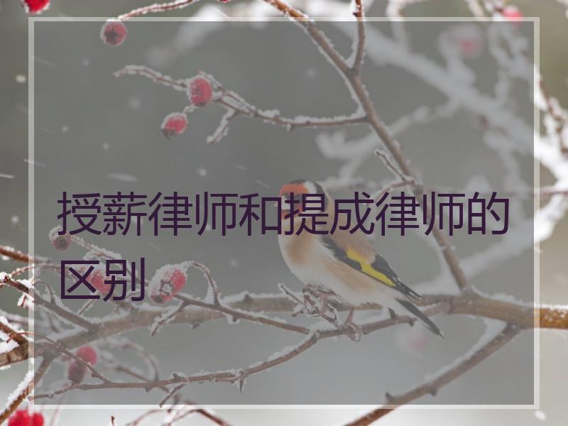 授薪律师和提成律师的区别