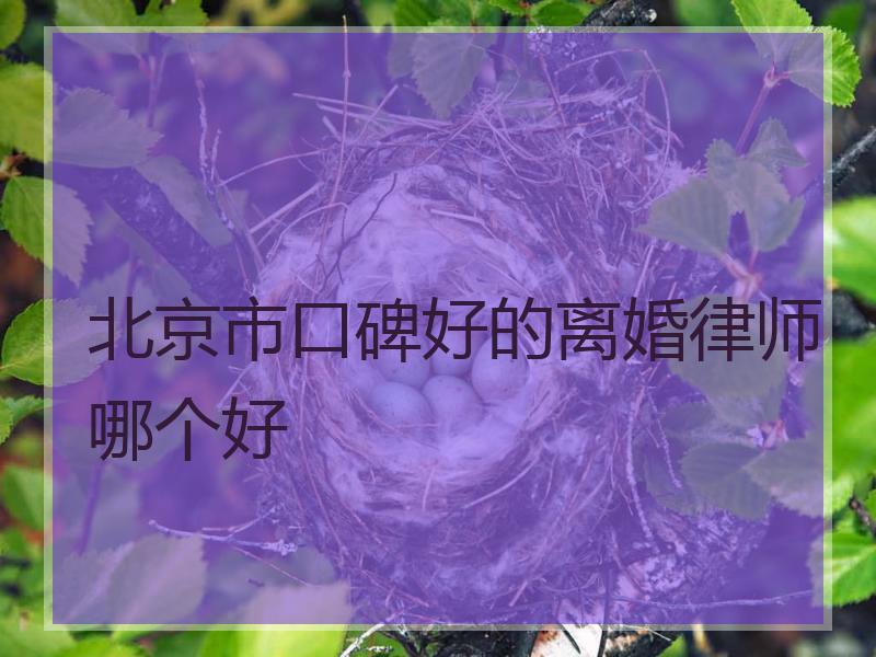 北京市口碑好的离婚律师哪个好