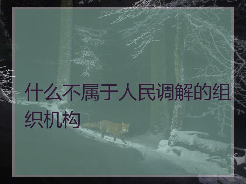 什么不属于人民调解的组织机构
