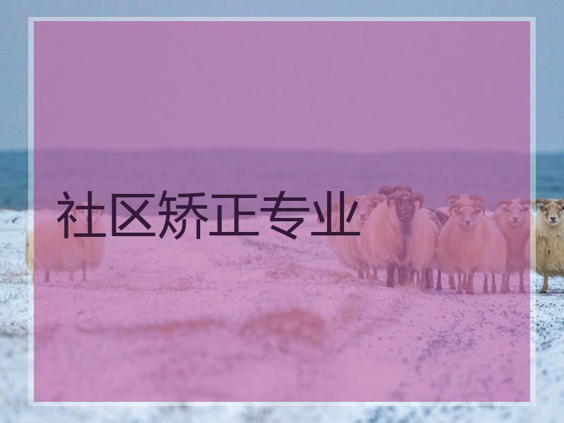 社区矫正专业