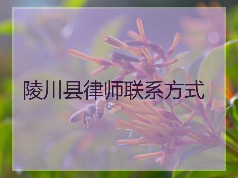 陵川县律师联系方式