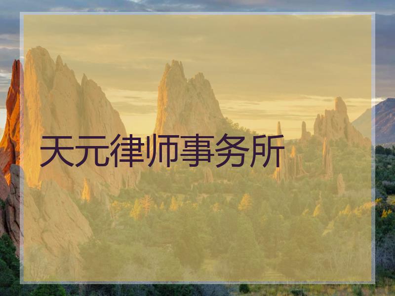 天元律师事务所