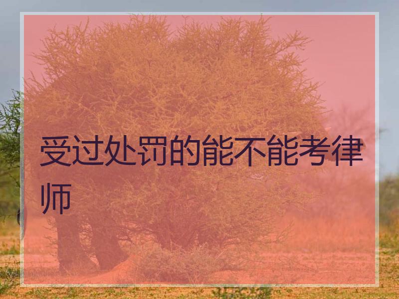 受过处罚的能不能考律师
