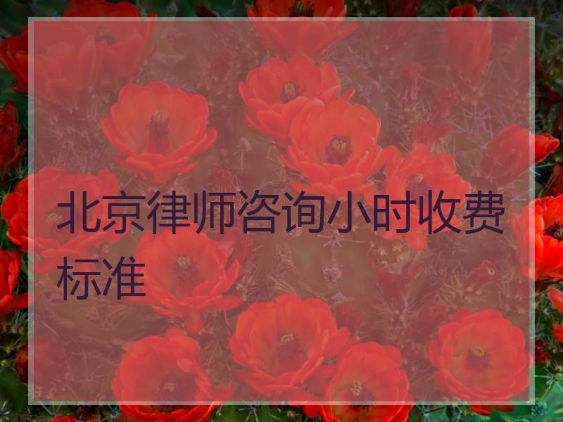 北京律师咨询小时收费标准