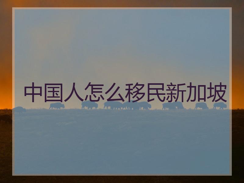 中国人怎么移民新加坡