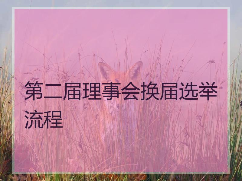 第二届理事会换届选举流程