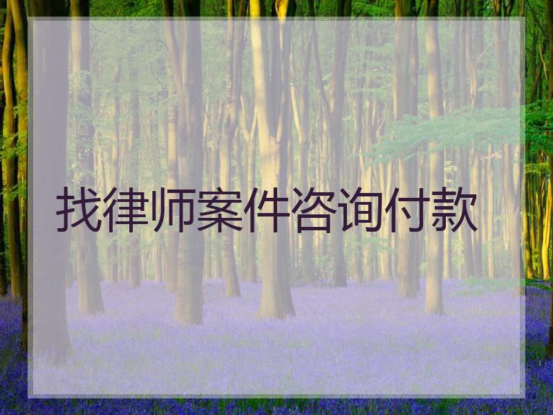 找律师案件咨询付款