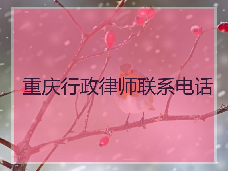 重庆行政律师联系电话