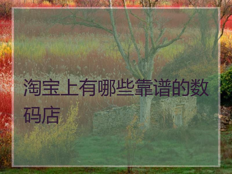 淘宝上有哪些靠谱的数码店