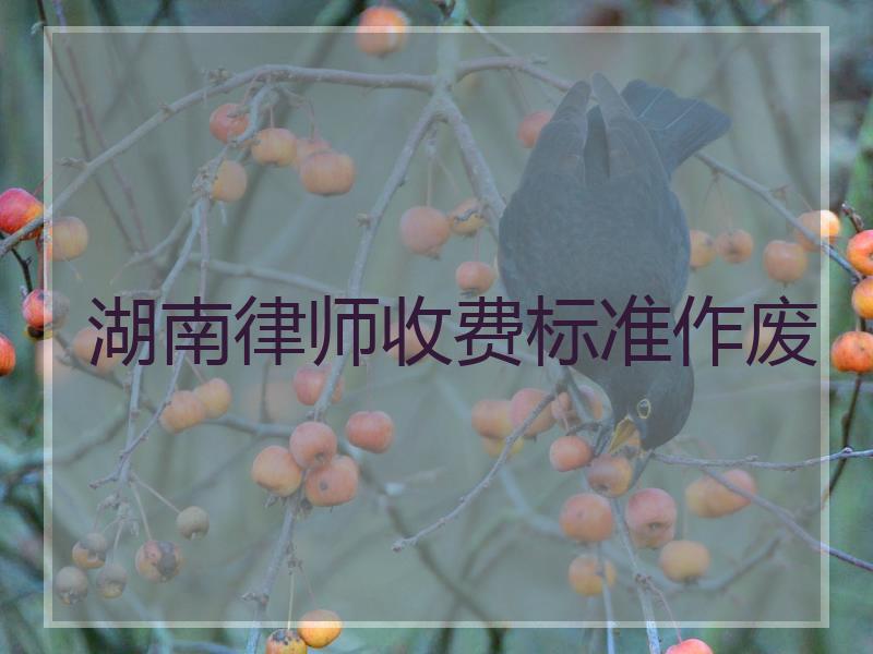 湖南律师收费标准作废