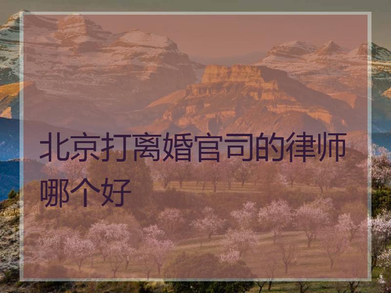北京打离婚官司的律师哪个好