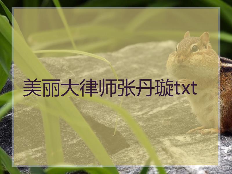 美丽大律师张丹璇txt