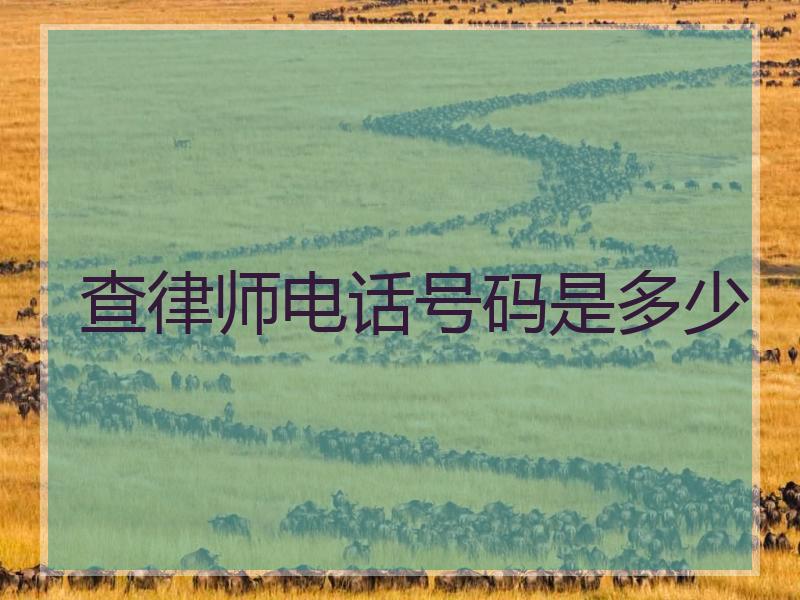 查律师电话号码是多少