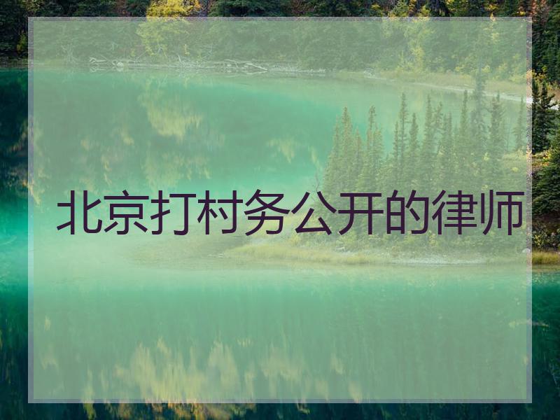 北京打村务公开的律师
