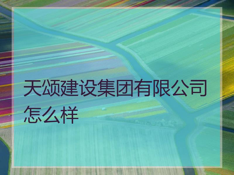 天颂建设集团有限公司怎么样