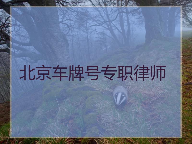 北京车牌号专职律师