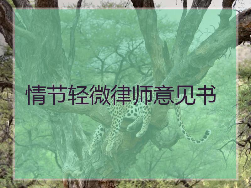 情节轻微律师意见书