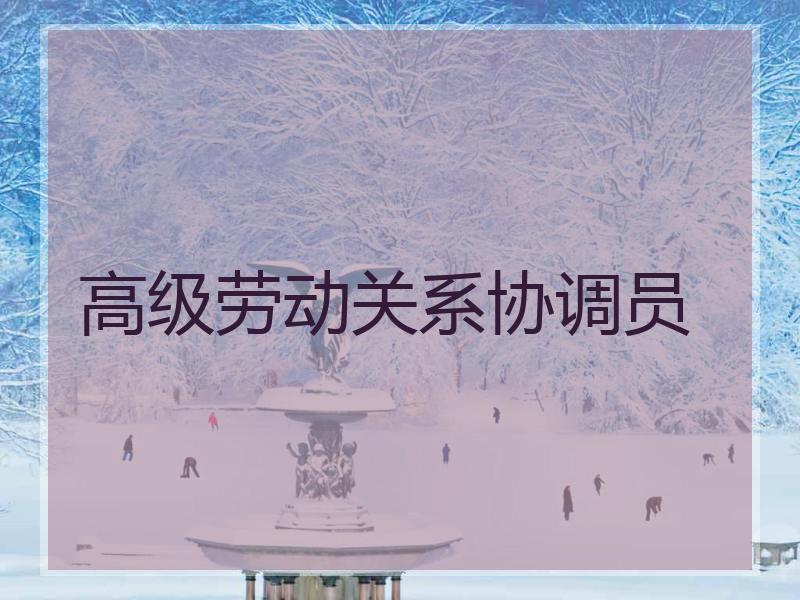 高级劳动关系协调员
