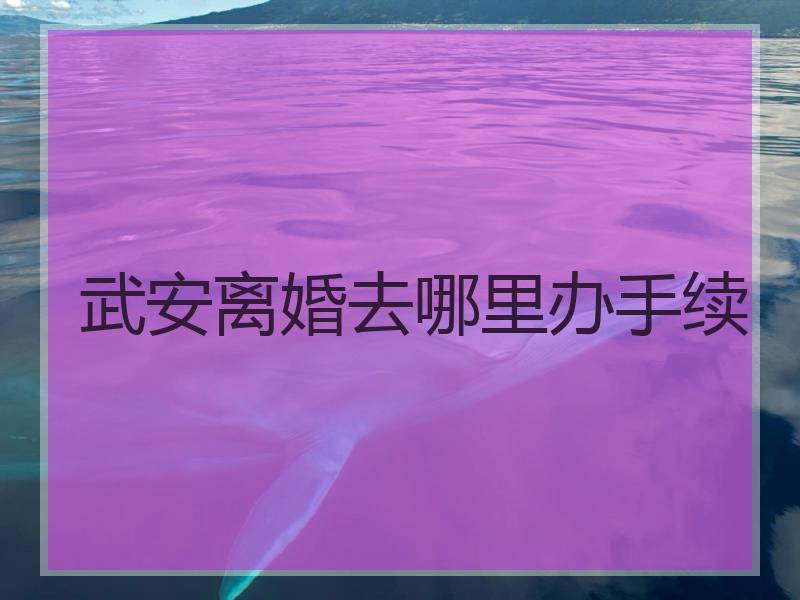 武安离婚去哪里办手续