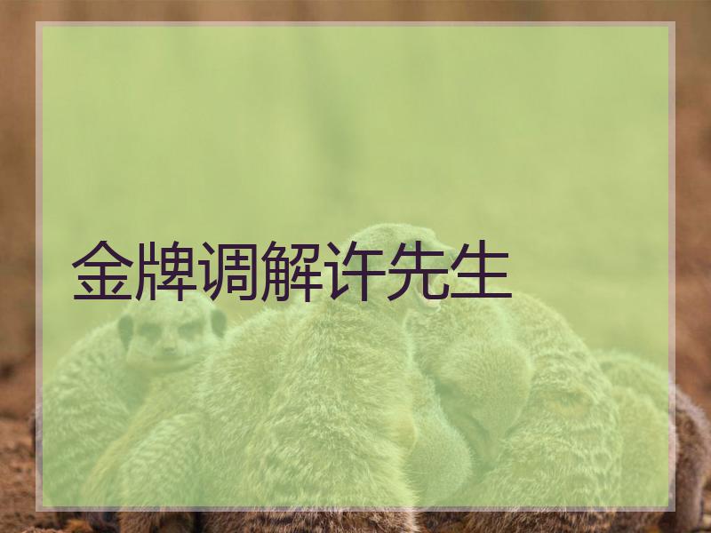 金牌调解许先生