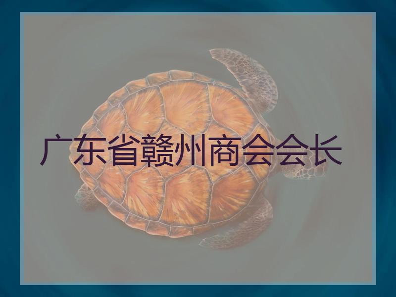 广东省赣州商会会长