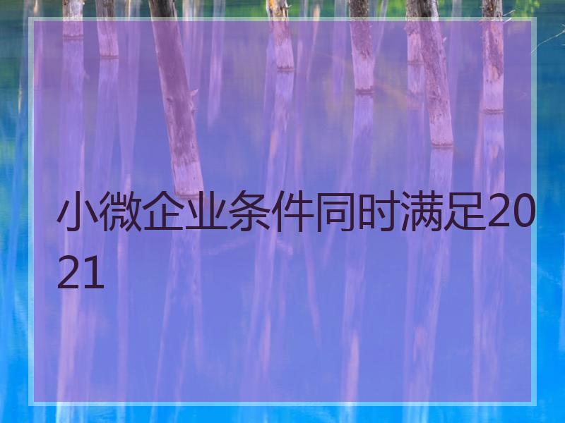 小微企业条件同时满足2021