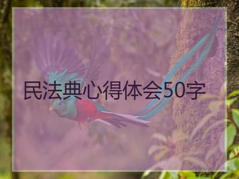 民法典心得体会50字