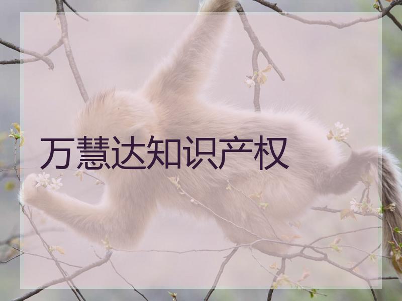 万慧达知识产权