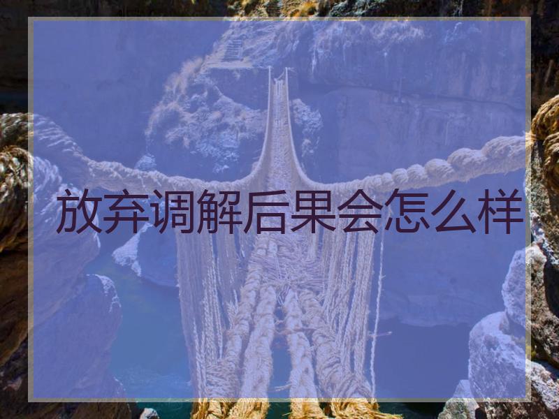放弃调解后果会怎么样