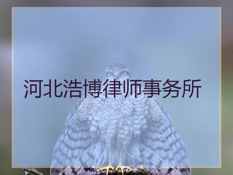 河北浩博律师事务所