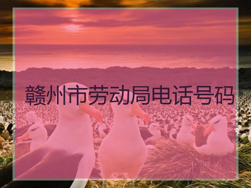 赣州市劳动局电话号码