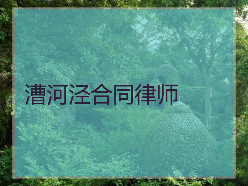 漕河泾合同律师