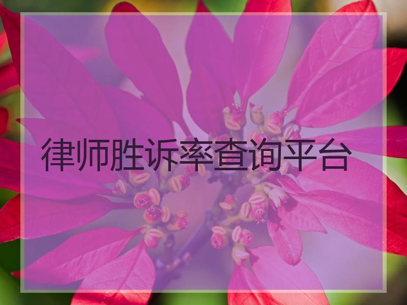 律师胜诉率查询平台